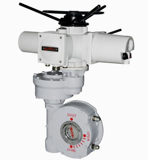 Combined Quarter-Turn Electric Actuator
