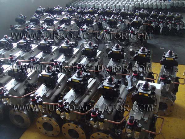 Pneumatic Valve Actuator